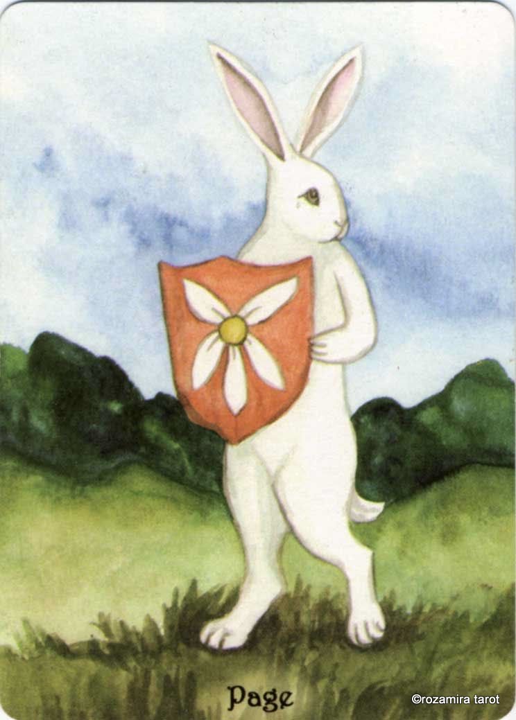 Rabbit Tarot